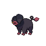 Dark Oinkologne